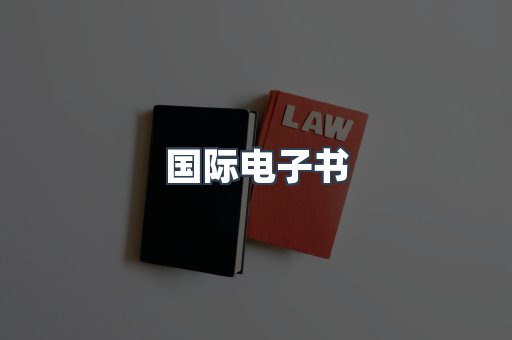 国际电子书